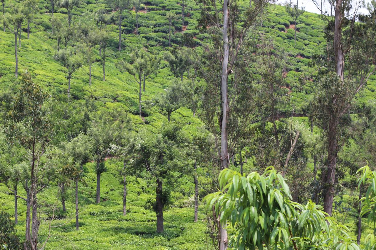 Rustling River Resort Ooty Eksteriør billede