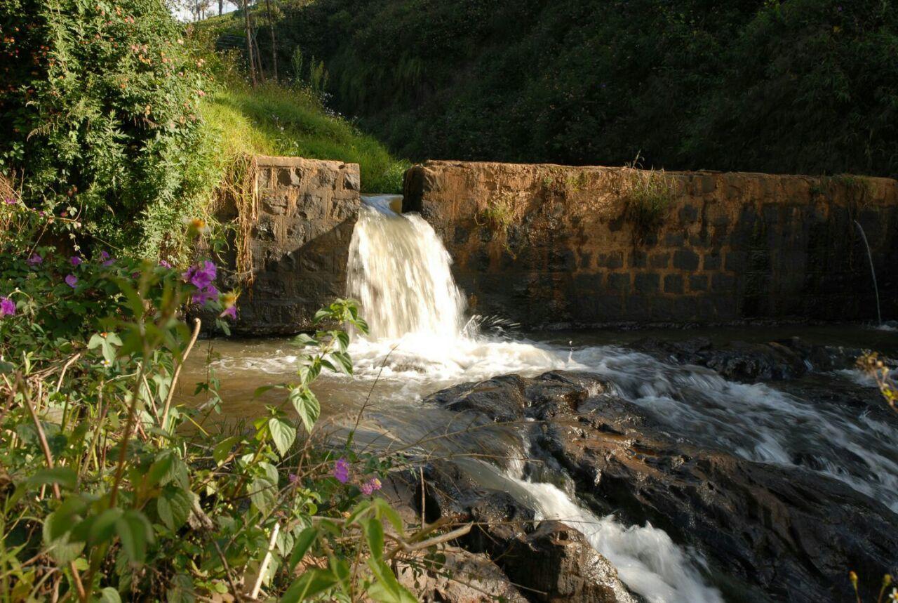 Rustling River Resort Ooty Eksteriør billede