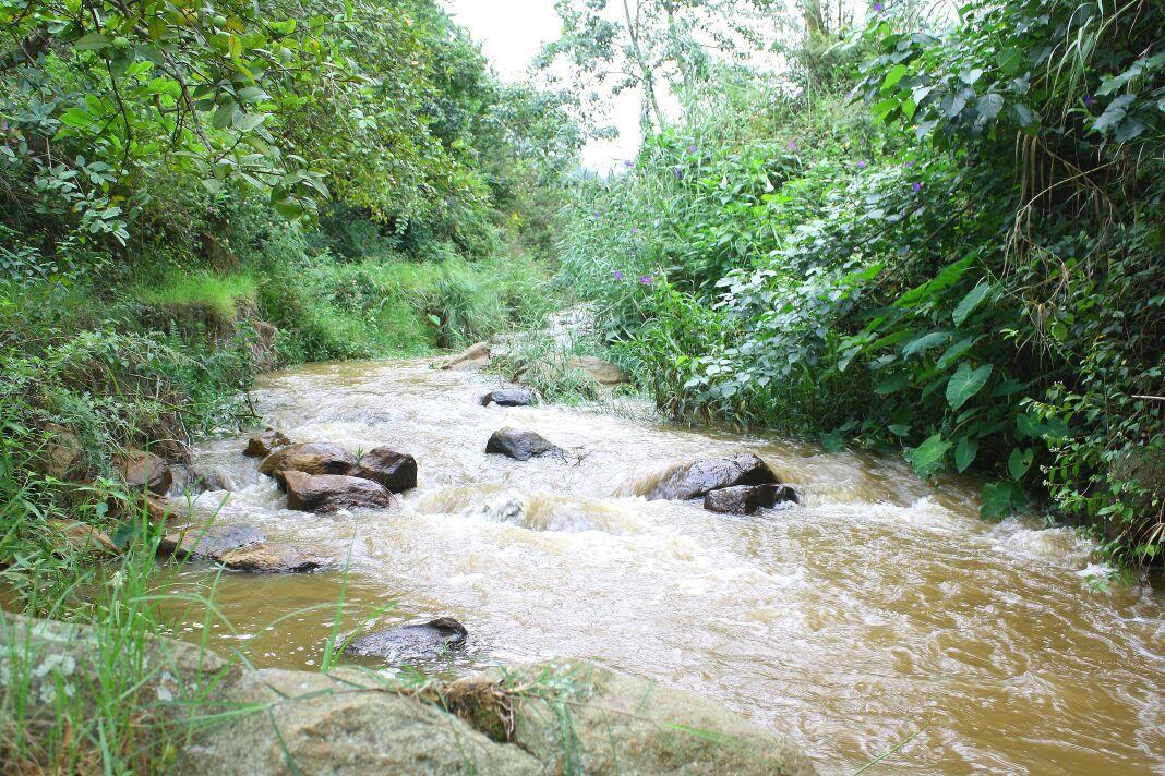 Rustling River Resort Ooty Eksteriør billede